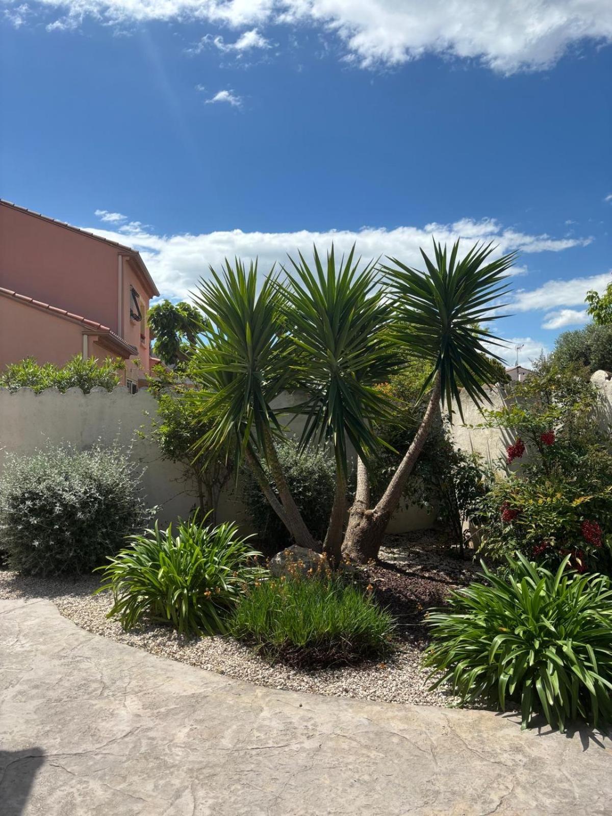 בזייה La Maison Brennus , Piscine, 15 Min Des Plages מראה חיצוני תמונה